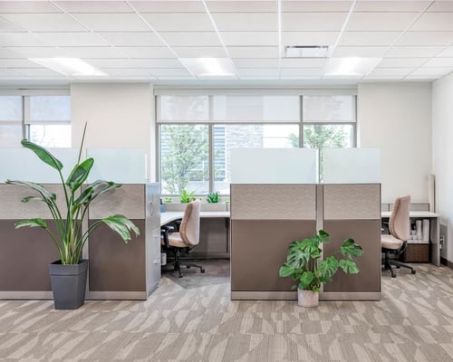 From Static to Strategic: Designing Workspaces That Drive Employee Productivity